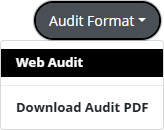 'Audit Format' button showing "Web Audit" and "Download Audit PDF" options.