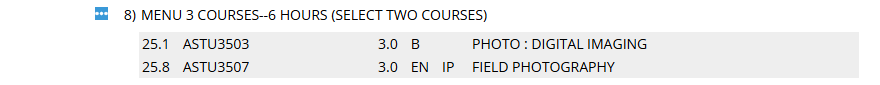In-Progress sub-requirement that requires two courses, showing one course completed and a second course in progress.